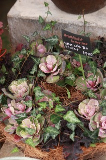 20151203aIMG_0267.jpg