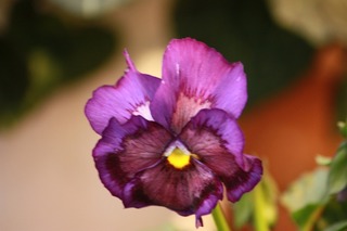 20151204aIMG_0280.jpg