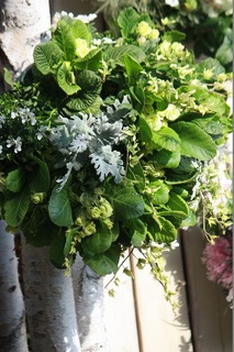 20151205aIMG_0318.jpg