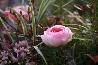 20151223aIMG_0551.jpg
