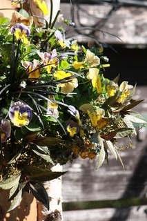 IMG_484920161027a.jpg