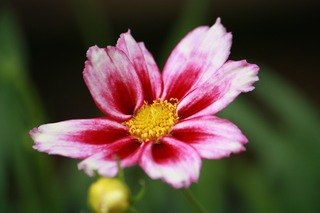 IMG_920920170920a.jpg