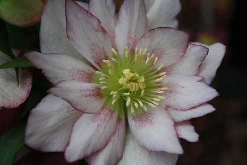 20100211ee.jpg