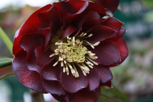20100211g.jpg
