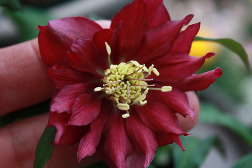 20100215e.jpg