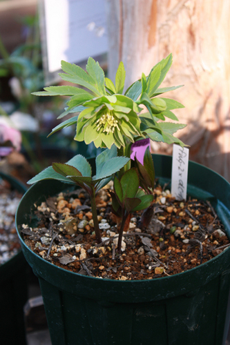 20100219011.jpg