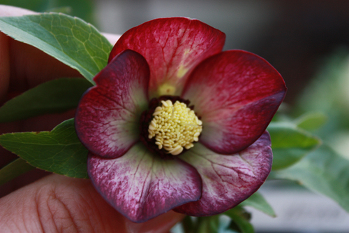 2010021902.jpg