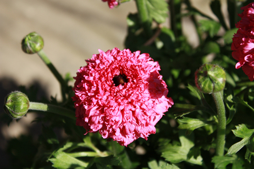 2010021904.jpg