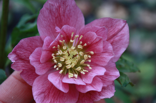 20100219y.jpg