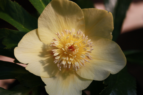20100220c.jpg