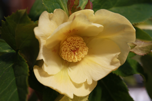 20100220g.jpg