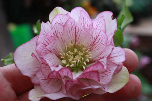 20100222e.jpg