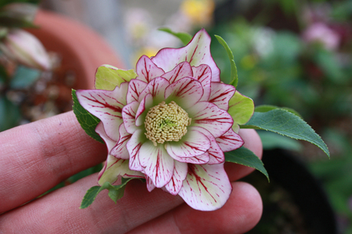 20100225e.jpg