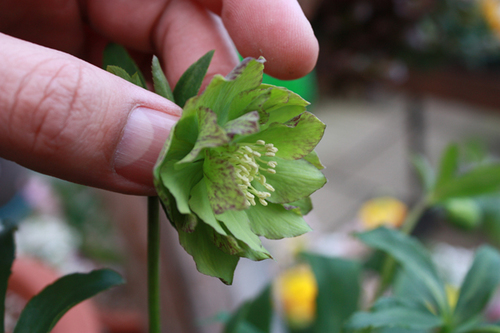 20100225f.jpg