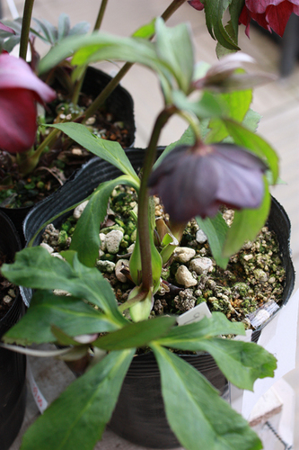 20100225kk.jpg