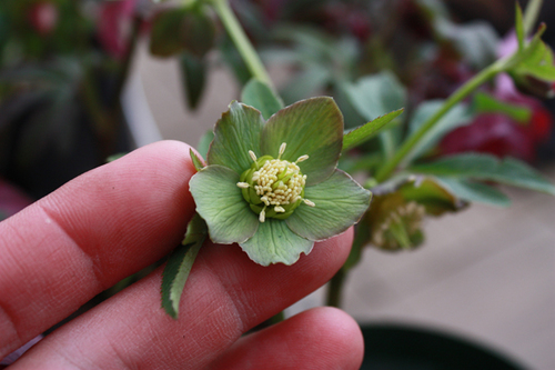 20100225m.jpg