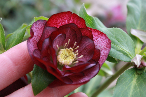 20100225q.jpg