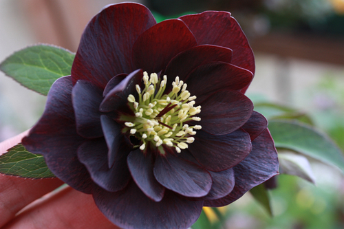 20100225u.jpg