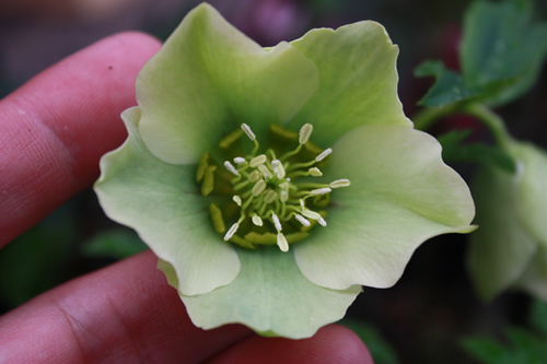 20100226e.jpg