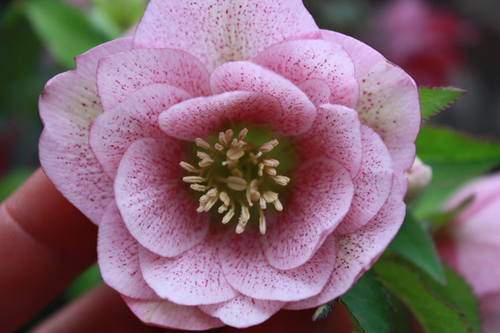 20100226f.jpg
