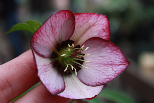 20100226g.jpg