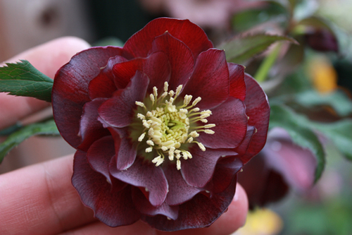20100226m.jpg