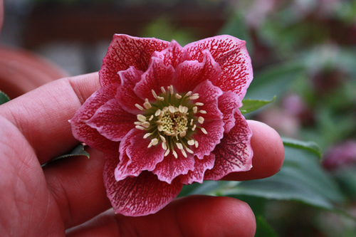 20100301b.jpg