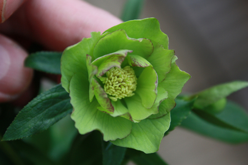 20100305e.jpg